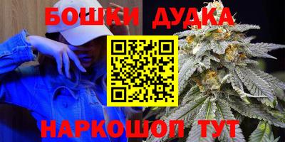 индика Моздок