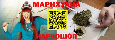 индика Моздок