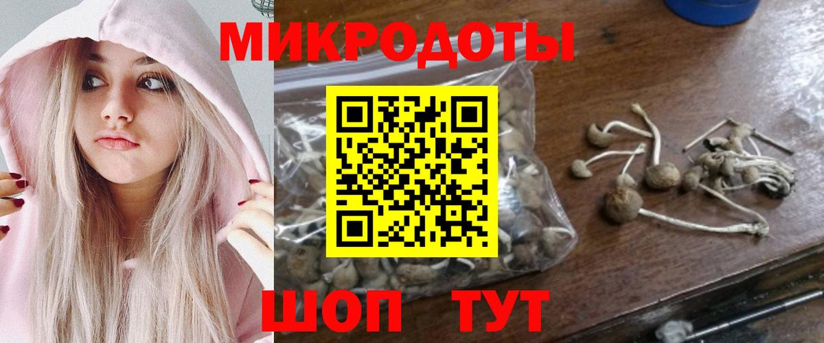 Псилоцибиновые грибы ЛСД  Вход с VPN  купить закладку  Тамбов 
